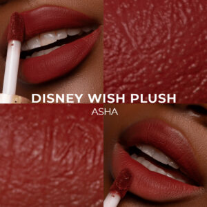 Disney Wish Plush Asha Bruna Tavares